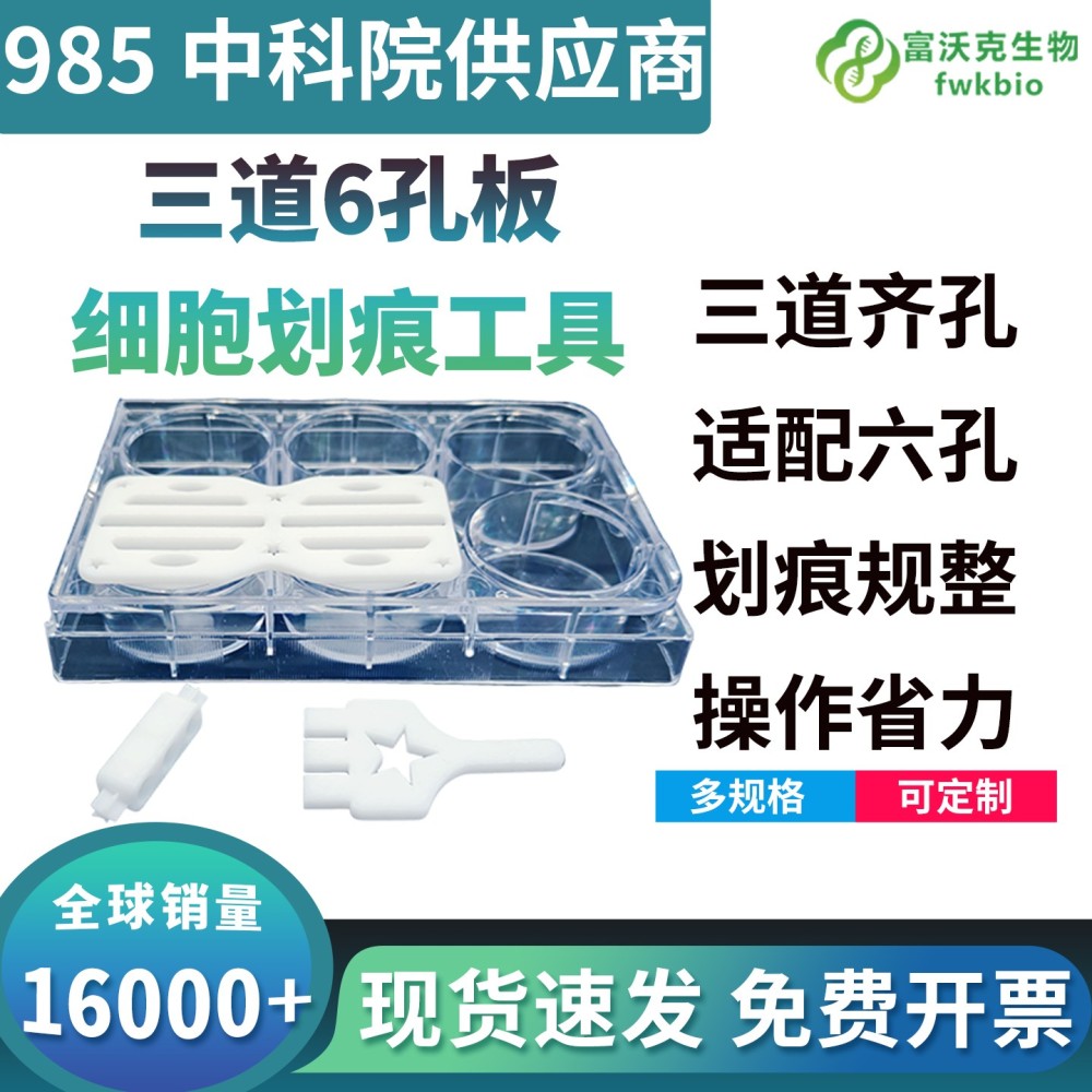 三道6孔板细胞划痕工具