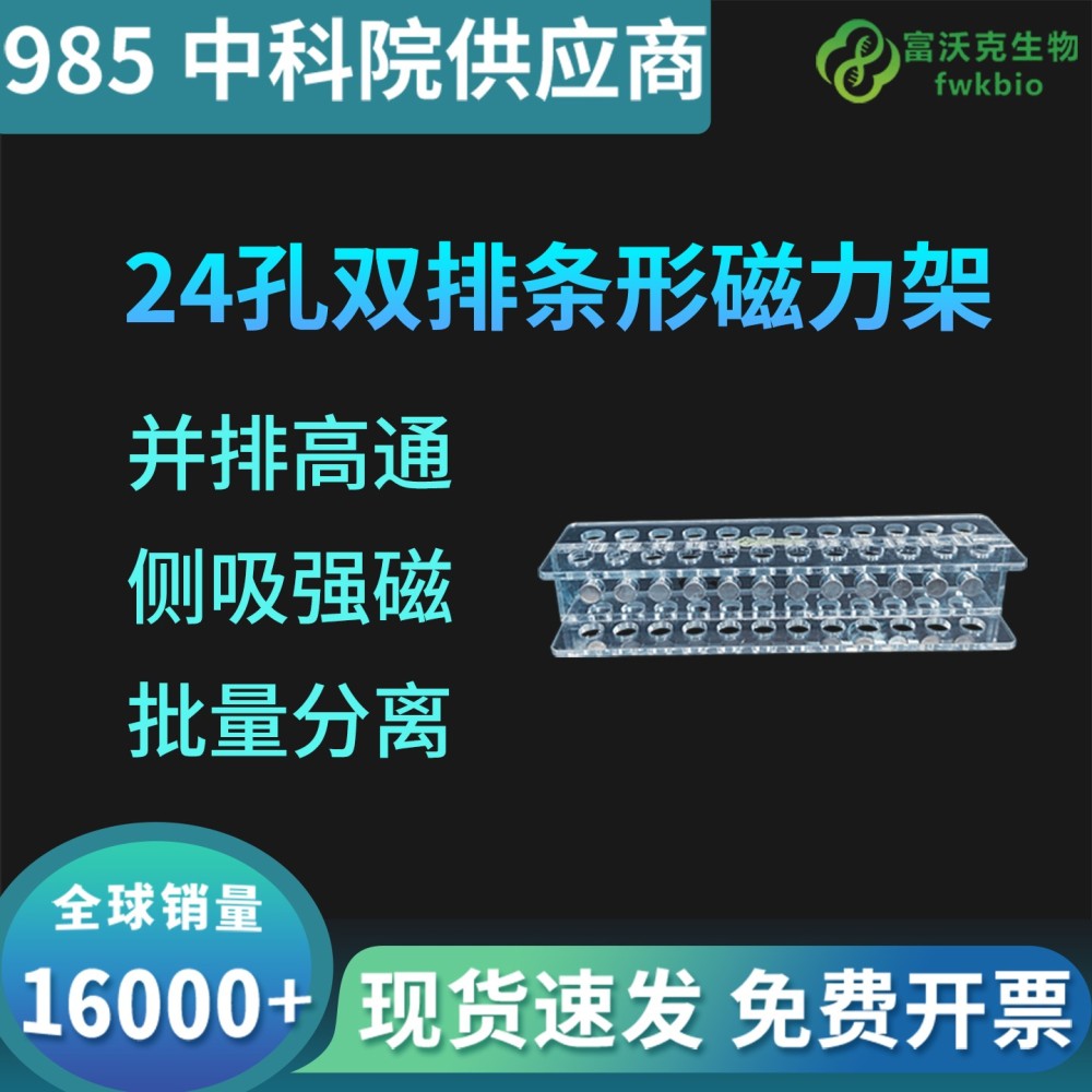 24孔双排磁力架