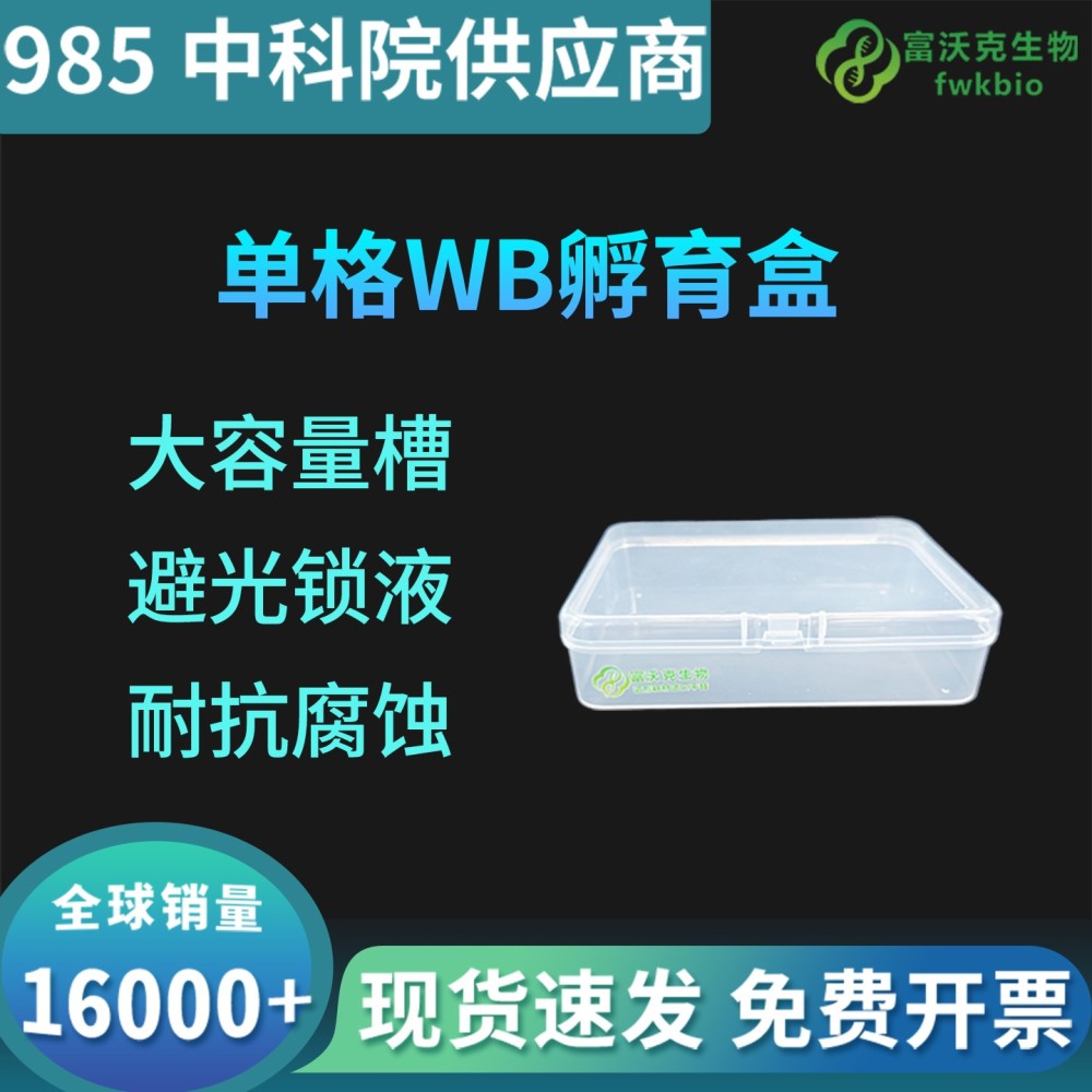 单格WB孵育盒