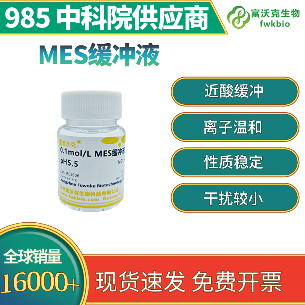 MES缓冲液